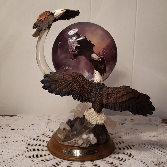 Vtg 2004 Bradford Exchange "The Storm Chaser" from Majestic Flights Collection - Picture 1 of 7